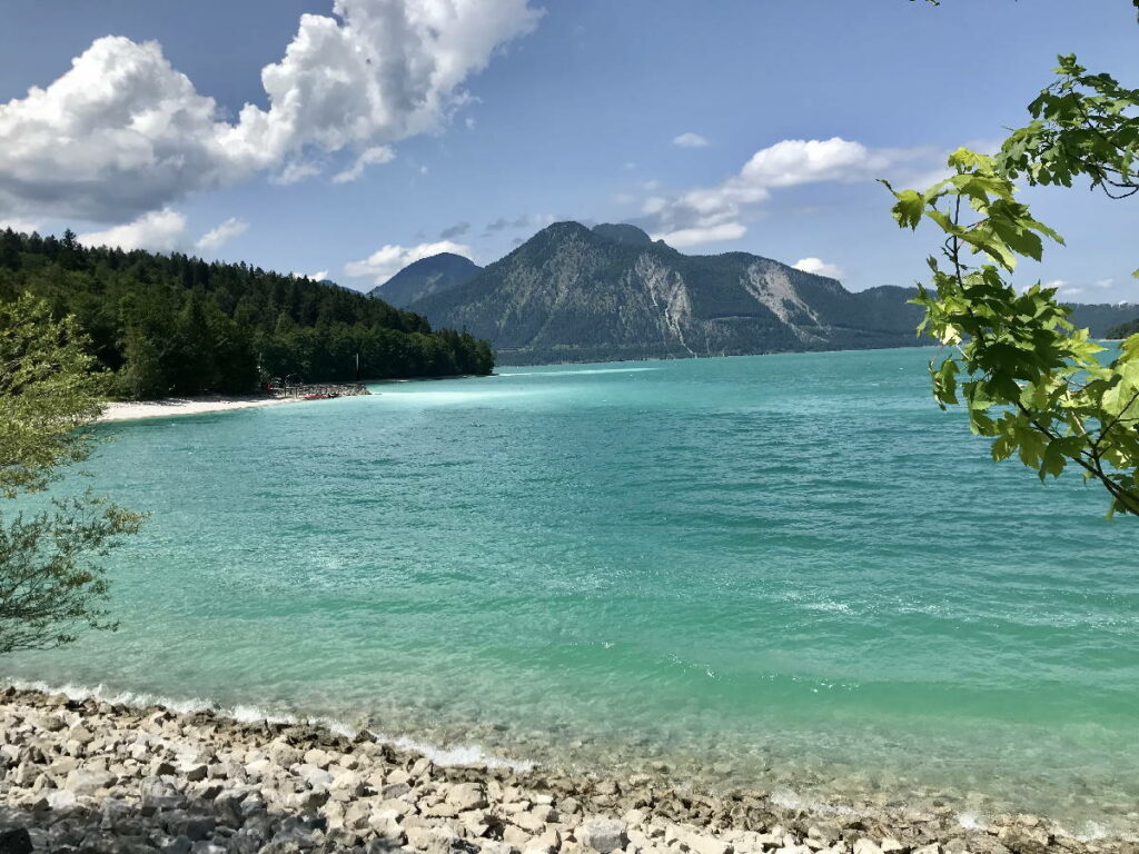 leichte Mountainbike Touren Bayern? Die Walchensee Rundtour gehört definitiv dazu!